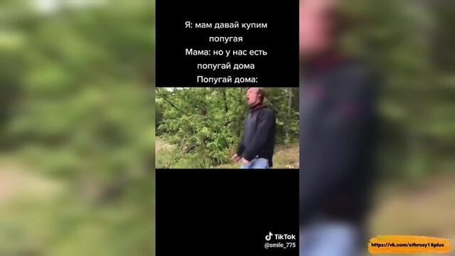 Годный тик-ток  попугай делает тьау тьау тьау